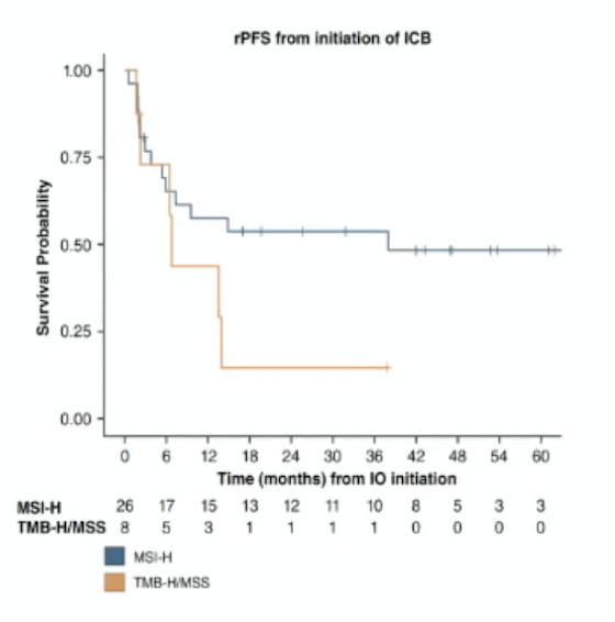 Radiographic progression-free survival tended to be longer in patients with MSI-H/dMMR than in patients with TMB-H/MSS who received immunotherapy:
