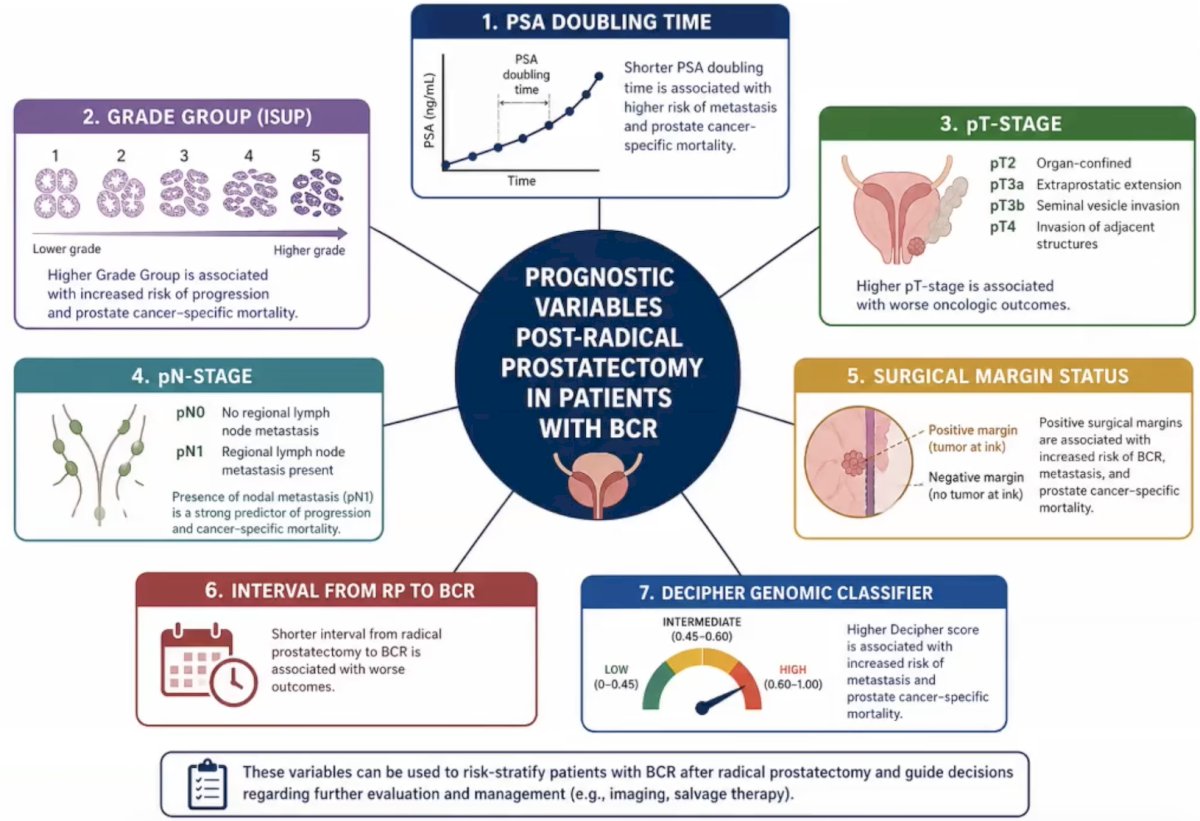 Prognostic variables in patients post radical prostatectomy with biochemical recurrence include (i) PSA doubling time, (ii) grade group, (iii) pT stage, (iv) pN stage, (v) surgical margin status, (vi) the interval from radical prostatectomy to biochemical recurrence, and (vii) Decipher Genomic Classifier:&nbsp;