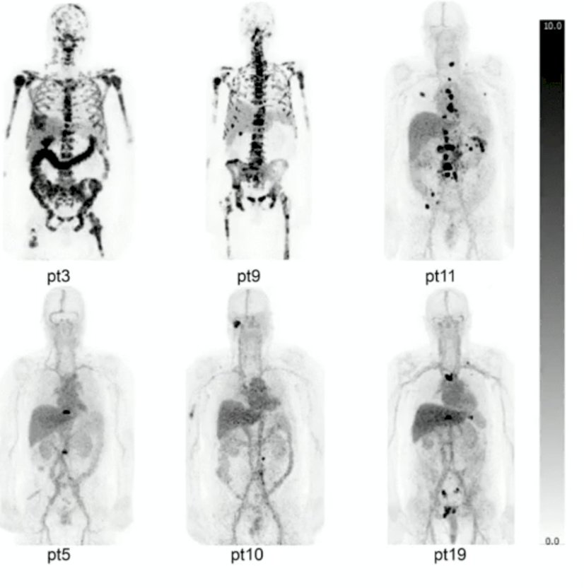 image-2.jpg