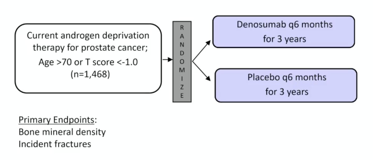 Published in 2009, the denosumab fracture prevention study1 enrolled 1,468 men on androgen deprivation for prostate cancer and randomized them to denosumab every 6 months for 3 years versus placebo every 6 months for 3 years: