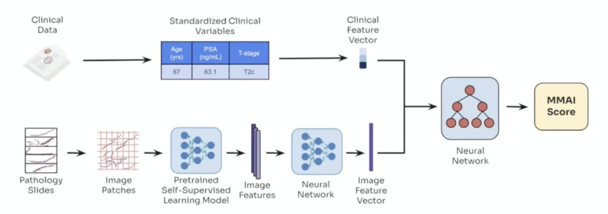 Biomarkers will be important to select patients who may benefit from the addition of an androgen receptor pathway inhibitor, including multimodal artificial intelligence (MMAI) models:&nbsp;