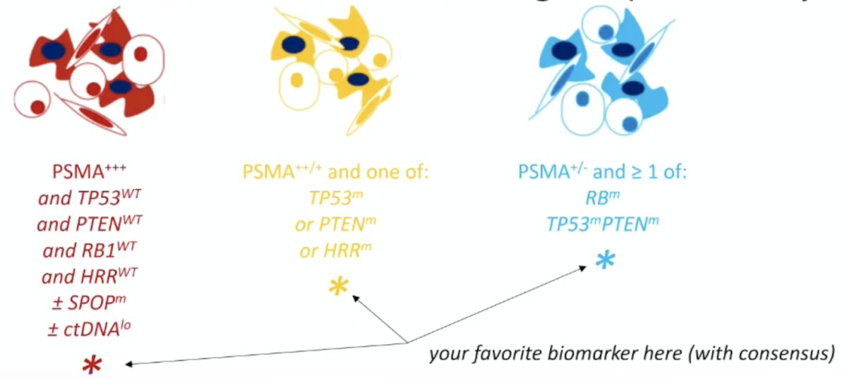 image-4.jpg