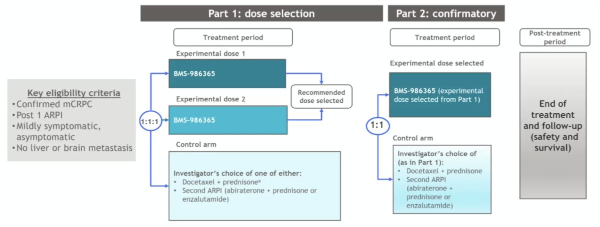 Currently, the rechARge phase 3 trial is enrolling 960 patients, randomizing patients 1:1:1 to two different doses of BMS-986365 or a control arm of the investigator’s choice of either docetaxel + prednisone/prednisolone or a secondary androgen receptor pathway inhibitor: