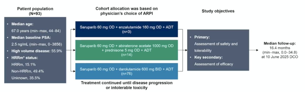 Saruparib is a selective PARP1 inhibitor, and interim results from PETRANHA previously demonstrated high rates of undetectable PSA in mHSPC regardless of HRR mutation status.&nbsp;The current analysis provides updated efficacy and safety data. In this study, patients received oral saruparib 60 mg once daily combined with the physician’s choice of ARPI (enzalutamide, abiraterone acetate, or darolutamide) plus ADT. Up to six months of prior ADT was permitted. Prior chemotherapy for metastatic prostate cancer was not allowed. The study design is shown below.