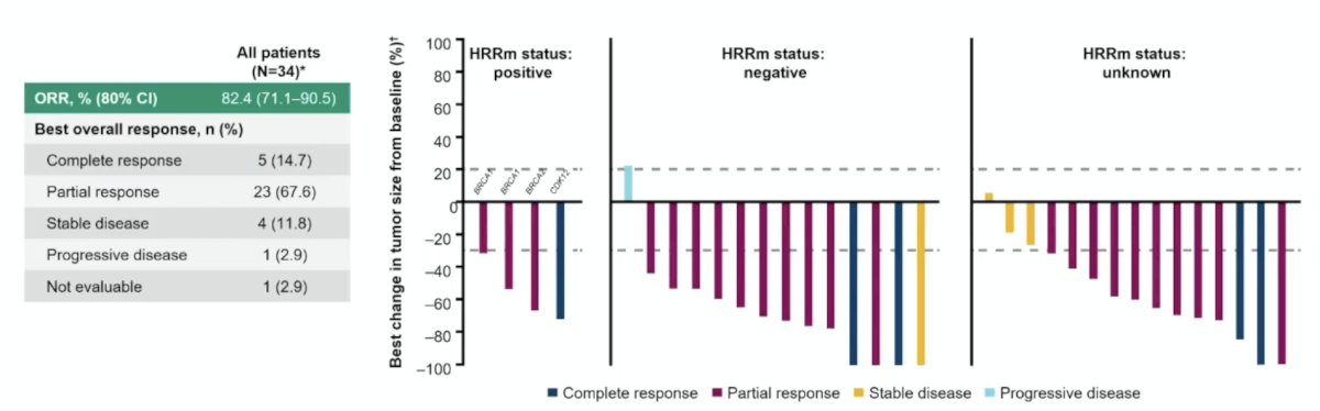 Among response-evaluable patients (34 of 93), the objective response rate (ORR) was 82.4%, including 14.7% complete responses. The confirmed undetectable PSA rate at any time was 69.9%, and the confirmed 52-week undetectable PSA rate was 76.7%: