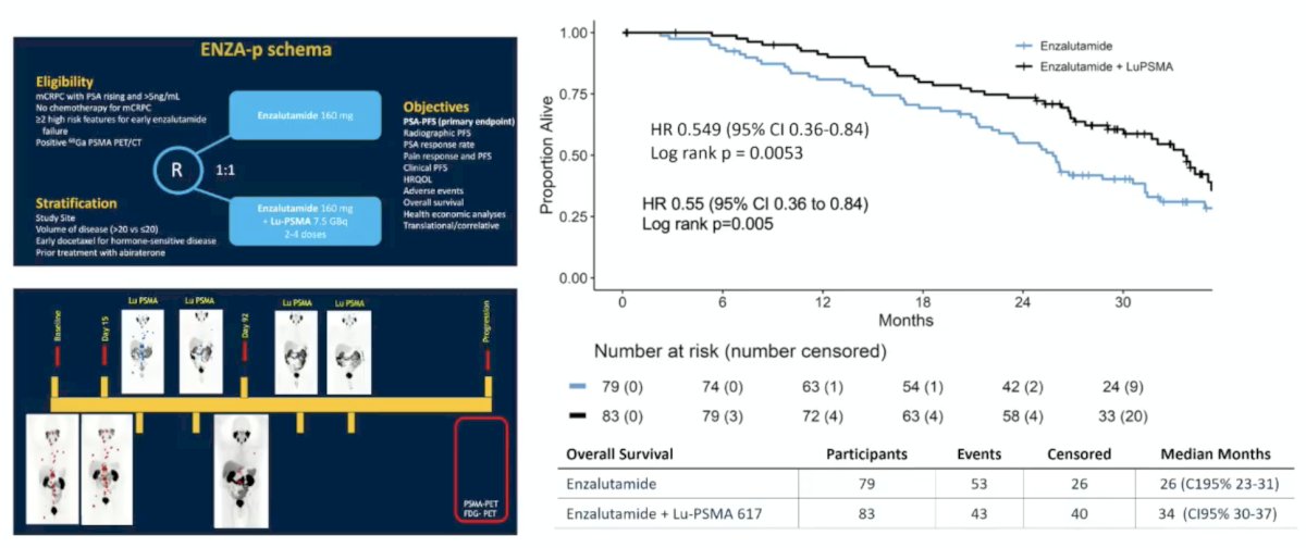 Over a median follow-up of 20 months (IQR 18-21), PSA progression-free survival was longer with enzalutamide + 177Lu-PSMA-617 vs enzalutamide-alone (median 13 vs 7.8 months; HR 0.43, 95% CI 0.29-0.63, p < 0.001). There was also a trend towards improved radiographic progression-free survival favoring 177Lu-PSMA-617 (HR 0.68, 95% CI 0.45-1.03):&nbsp;