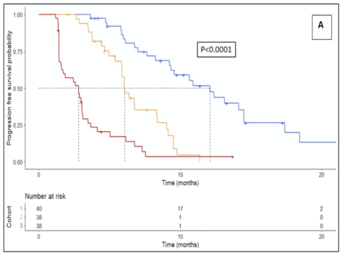 Response Group 1: progression-free survival 12.3 months, overall survival 22 months, treatment break for 6 months Response Group 2: progression-free survival 6.2 months, overall survival 15 months, no treatment break Response Group 3: progression-free survival 2.8 months, overall survival 11 months, early more to alternative treatment