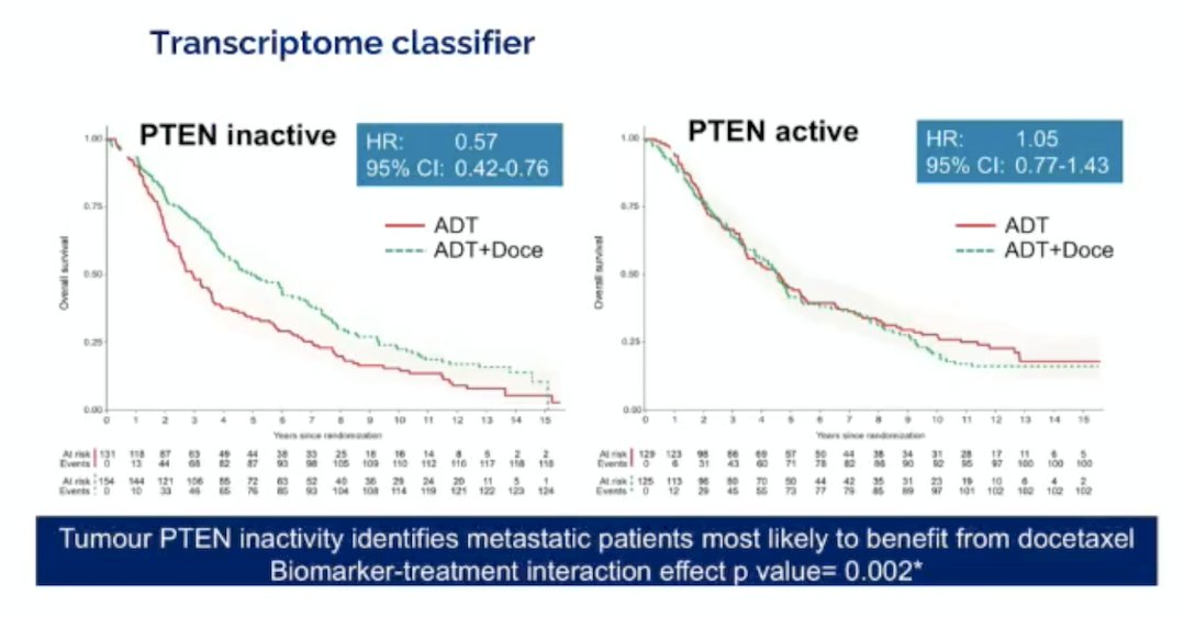 Among patients with PTEN-inactive tumors, the addition of docetaxel to ADT was associated with a 43% improvement in overall survival compared to ADT alone, indicating a clinically meaningful benefit. Conversely, in patients with PTEN-active tumors, there was no survival advantage with docetaxel (HR 1.05; 95% CI 0.77–1.43). These findings provide strong evidence that PTEN transcriptomic inactivity may serve as a predictive biomarker for identifying metastatic prostate cancer patients most likely to benefit from treatment intensification with docetaxel (biomarker-treatment interaction p=0.002):&nbsp;