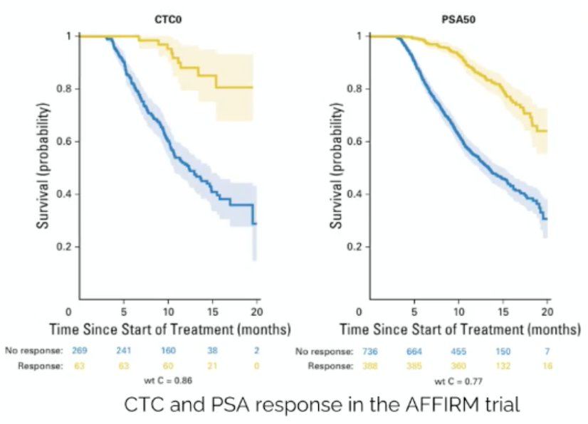 Finally, Dr. von Amsberg discussed CTCs in mCRPC. CTC count (≥5/7.5 mL) is a validated prognostic biomarker in mCRPC, consistently associated with shorter overall survival, and early on-treatment changes in CTC number closely track clinical outcomes. CTC-based response endpoints (conversion ≥5→<5 or CTC0) show stronger associations with overall survival than PSA-based endpoints, and combined CTC/LDH metrics demonstrate robust patient-level surrogacy, but not trial-level surrogacy. CELLSEARCH-enumerated CTCs are FDA-qualified (limited context of use) as a biomarker endpoint for early evaluation of drug activity in mCRPC, functioning as a single-factor response biomarker rather than a validated surrogate for overall survival. The following Kaplan-Meier curves show CTC and PSA response in the AFFIRM trial:
