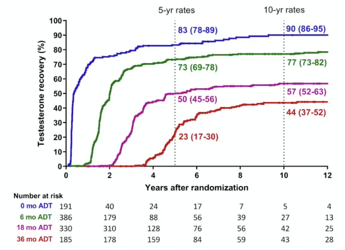 Regarding post-treatment testosterone, Nabid et al. [2] used data from 1,230 patients from two phase III trials to determine the rate and time of testosterone recovery in patients with localized prostate cancer treated with radiotherapy + 0-, 6-, 18- or 36-month of ADT. In patients recovering normal testosterone, the median time to testosterone recovery increased with ADT duration, ranging from 0.31, 1.64, 3.06 to 5.0 years for the 0-, 6-, 18- or 36-month schedules, respectively (p < 0.001), and was significantly faster for those with a normal testosterone at baseline (p < 0.001). On multivariable analysis, older age and longer ADT duration are associated with a lower testosterone recovery: