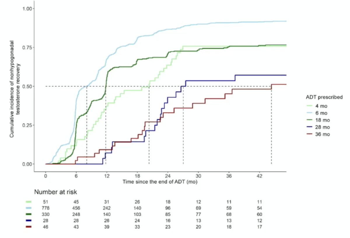 Published in 2025, the TRANSPORT study assessed testosterone recovery following ADT and prostate radiotherapy as a pooled analysis from five randomized trials [3]. Among 1,444 men, 115 received 4 months, 880 received 6 months, 353 received 18 months, 36 received 28 months, and 60 received 36 months of ADT. Times to non-castrate testosterone recovery and to non-hypogonadal testosterone recovery varied considerably by ADT duration: