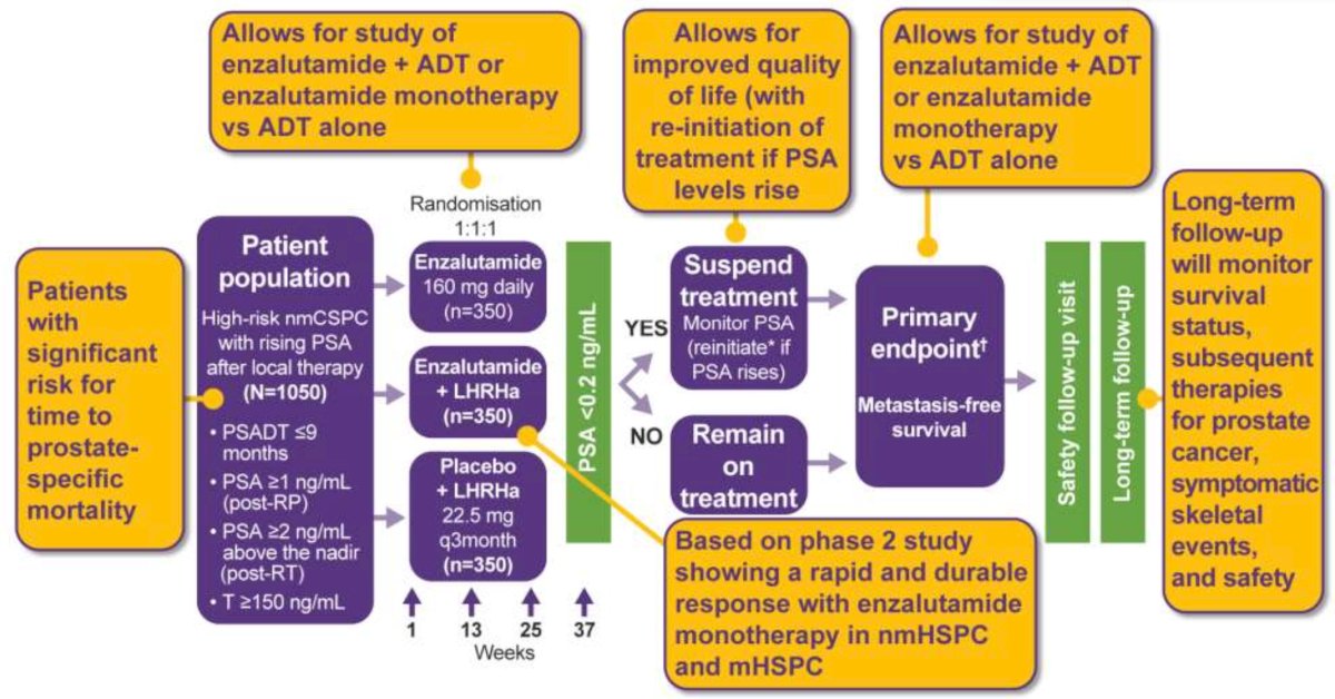 PSA was assessed at 36 weeks, and if patients had a PSA < 0.2 ng/mL, treatment was suspended at week 37, and PSA was monitored with treatment reinitiated if PSA increased again. If patients had a PSA > 0.2 ng/mL, treatment was continued. The primary endpoint was metastasis-free survival, assessed via blinded independent central review, in the enzalutamide + leuprolide versus leuprolide arms only. Key secondary endpoints included overall survival and safety outcomes. The trial design for EMBARK is as follows:
