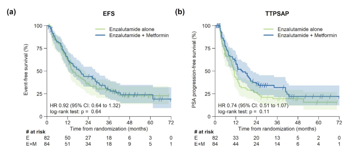 Earlier in 2026, Gillessen et al.2 published results from the SAKK 08/14 phase 2 trial of enzalutamide plus metformin versus enzalutamide alone in mCRPC. The primary endpoint for this trial was the disease control rate at 15 months. Enzalutamide + metformin (n = 84) did not increase disease control compared with enzalutamide alone (n = 82; disease control rate 52% versus 56%, p = 0.64). Additionally, there was no difference in event-free survival (HR 0.92, 95% CI 0.64-1.32) or time to PSA progression (HR 0.74, 95% CI 0.51-1.07):