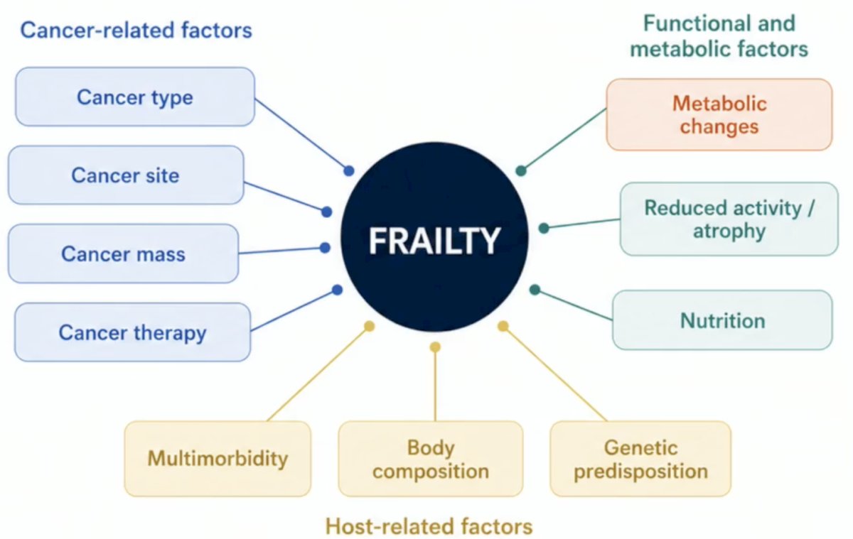 Why are we talking about quality of life now? Our treatments have gotten better, our patients are living longer, and now the years must be lived well. Frailty is complex, made up of several components, including host-related factors, cancer-related factors, and functional and metabolic changes: