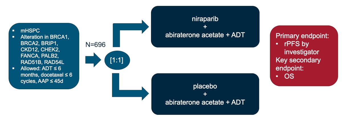 The AMPLITUDE study investigated patients with mHSPC with alterations in a variety of HRR genes, randomizing patients to niraparib + abiraterone + ADT versus abiraterone + ADT, with a primary endpoint of radiographic progression-free survival:4