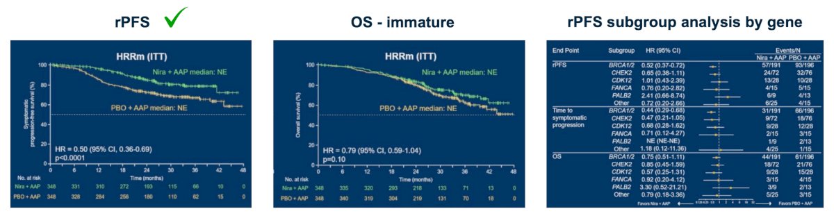 Adding niraparib to abiraterone improved radiographic progression-free survival by 50% (HR 0.50, 95% CI 0.36-0.69), and there was a trend toward benefit in overall survival in the intention-to-treat population at the time of this interim analysis. When stratified by HRR mutation, the benefit in radiographic progression-free survival was driven by BRCA1 and BRCA2 compared to other mutations: