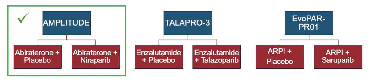 The results of AMPLITUDE led to the FDA approval of niraparib and abiraterone for BRCA2-mutated mHSPC in December 2025, and that approval is now reflected in NCCN guidelines. Dr. Brown notes that in addition to AMPLITUDE, we await results from TALAPRO-3 and the EvoPAR study, which will further clarify the role for PARP inhibitors in mHSPC: