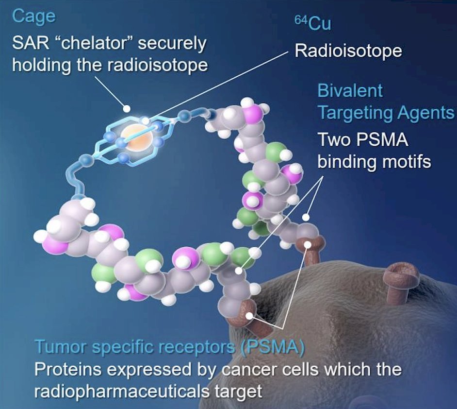 Prostate cancer is the second most prevalent cancer in men globally, and there is a need for improved prostate cancer imaging, reflected in a biochemical recurrence rate of 20 to 40% after initial definitive therapy.1,2 Despite advances in technology, many patients will fail to have their recurrence accurately localized by imaging, especially at low PSA levels. Imaging modalities that are widely available and can accurately detect, monitor, and restage residual / recurrent loco-regional and metastatic disease are therefore highly desirable. PSMA is a type II transmembrane glycoprotein that is strongly overexpressed in prostate cancer, making it an ideal target for imaging and therapy. 64Cu-SAR-bisPSMA may offer several advantages over the currently approved PSMA PET agents for prostate cancer due to the bivalent structure of SAR-bisPSMA and longer half-life of 64Cu (t1/2 = 12.7 hours), compared to the approved monovalent PSMA agents utilizing 18F and 68Ga (t1/2 < 2 hours):