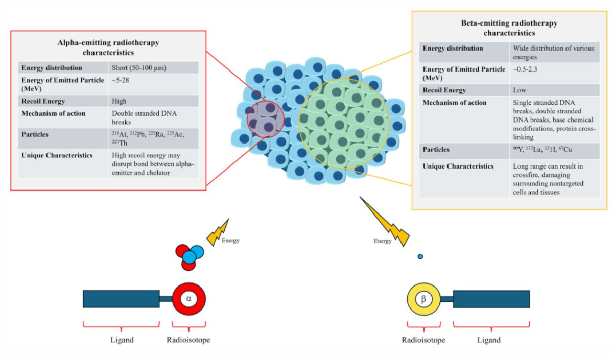 The following figure highlights the characteristics of alpha-emitting versus beta-emitting radiotherapy characteristics: