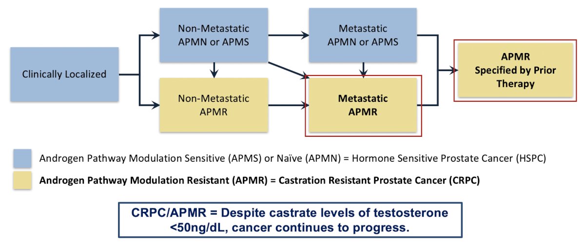 Dr. Finkelstein emphasized that PCWG4 changes the framework of the disease from an endocrinologic basis to a mechanistic one, which includes no use of the term castration.1 A key milestone is the use of prior androgen receptor-directed therapy (ADT alone or androgen receptor pathway inhibitor alone or doublet or triplet with another drug class, or novel androgen receptor-targeted agent, etc):