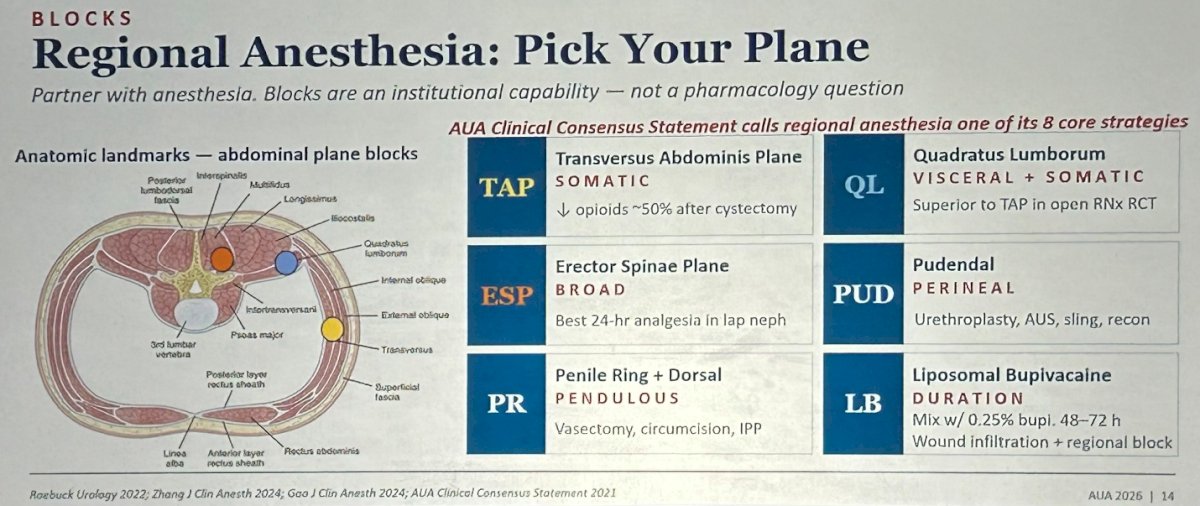 In addition, adverse effects, from dizziness to falls to sedation that undermines early ambulation goals to respiratory depression carrying a 2019 FDA black-box warning, strongly argue against the routine use of gabapentinoids. His bottom line: individualize and reserve gabapentinoids strictly for neuropathic or chronic pain phenotypes. “Don’t sprinkle it on every patient,” he said.