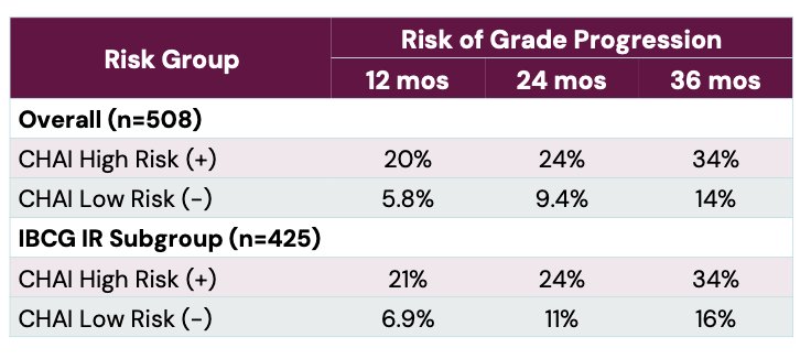 At 36 months, the risk of grade progression reached 34% in the CHAI high-risk group compared with 14% in the low-risk group. Importantly, the prognostic value of the biomarker remained significant within the IBCG intermediate-risk subgroup, where CHAI-positive patients also demonstrated substantially higher progression risk (HR 2.65, p<0.05). These findings suggest that AI-driven histologic analysis may help identify low-grade NMIBC patients at greater risk for biologic progression despite otherwise favorable clinical features.&nbsp;
