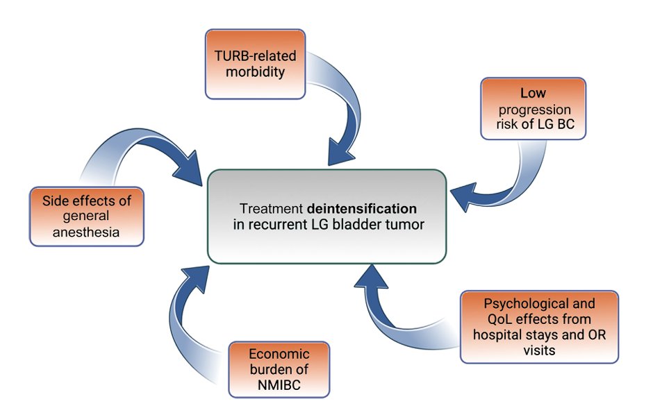 He further discussed the impact of overtreatment in recurrent low-grade bladder cancer, emphasizing that repeated TURBTs and escalating interventions may expose patients to substantial cumulative burden despite the relatively low risk of disease progression. Key concerns highlighted included TURBT-related morbidity, complications and side effects associated with repeated general anesthesia exposure, psychological and quality-of-life consequences related to recurrent hospital visits and operating room procedures, and the broader economic burden associated with long-term NMIBC management. Dr. Sood emphasized that these considerations support efforts toward treatment deintensification strategies in recurrent low-grade disease. (2)