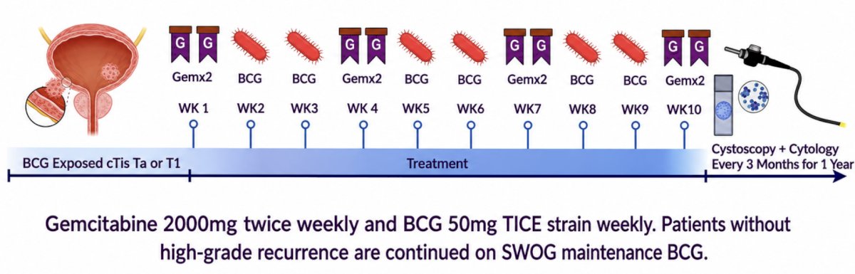 Patients with BCG-exposed non-muscle invasive bladder cancer (HG Ta/HG T1/Tis) within 24 months of the last treatment with BCG were eligible. Exclusion criteria included contraindication to BCG, BCG-unresponsive non-muscle invasive bladder cancer, and concurrent prostatic urethral or upper tract urothelial cancer. Patients underwent TURBT followed by intravesical instillation of 2,000 mg gemcitabine twice weekly (weeks 1, 4, 7, 10), and once weekly 50 mg TICE BCG (weeks 2, 3, 5, 6, 8, 9) followed by 1-year of maintenance BCG in responders: