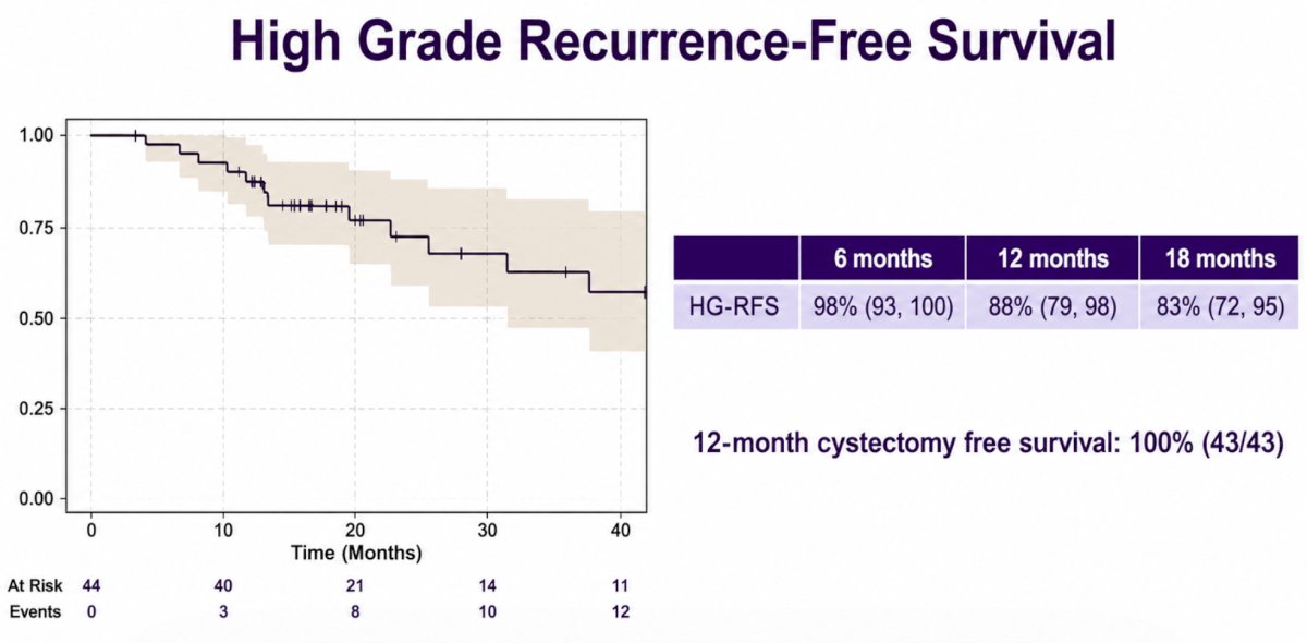 The 18-month high-grade recurrence-free survival was 83% (95% CI 72-95), and the 18-month cystectomy-free survival was 100% (95% CI 100-100):&nbsp;