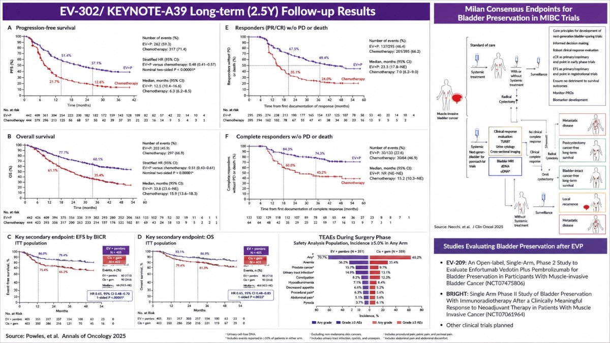 The combination significantly improved progression-free survival (median 12.5 vs 6.3 months; HR 0.45, 95% CI 0.38–0.54; p<0.001) and overall survival (median 31.5 vs 16.1 months; HR 0.47, 95% CI 0.38–0.58; p<0.001), with a confirmed objective response rate of 67.7% compared with 44.4% for chemotherapy, including complete response rates of 29.1% versus 12.5%. At 2.5 years of follow-up, durable separation of both progression-free and overall survival curves remained evident, reinforcing the magnitude and durability of benefit.