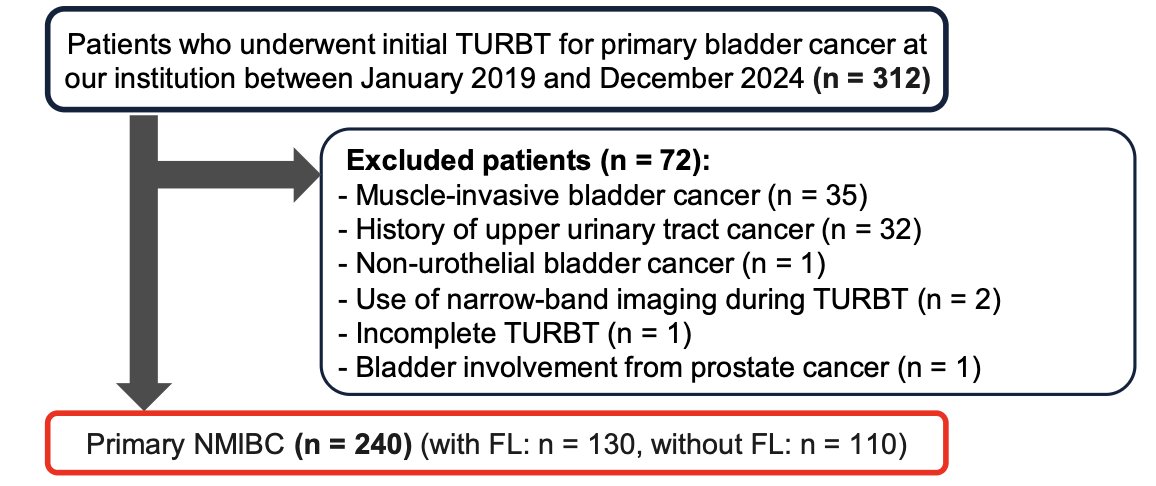 This was a single-center study including patients who underwent initial TURBT for primary bladder cancer between 2019 and 2024. After excluding patients with muscle-invasive disease, prior upper tract urothelial carcinoma, non-urothelial histology, use of narrow-band imaging, incomplete TURBT, or bladder involvement from prostate cancer, a total of 240 patients with primary NMIBC were included in the analysis as illustrated below.