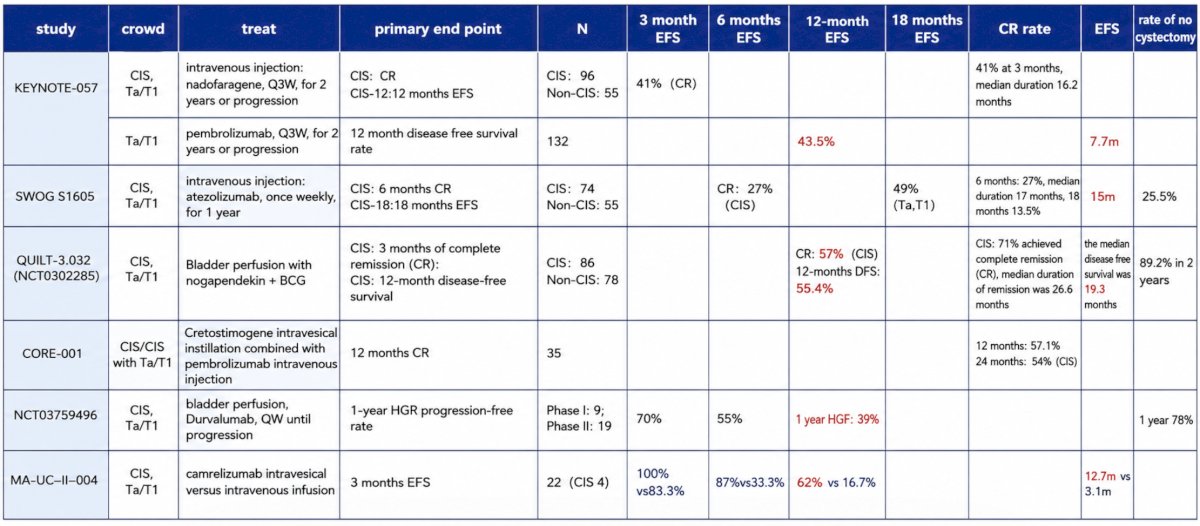 Exploratory immune analyses suggested that the superior efficacy of intravesical camrelizumab might be associated with localized immune activation and enhanced tumor-infiltrating lymphocyte responses. The following table provides a summary of available studies and treatments: