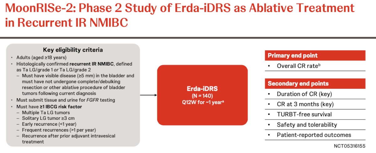 Patients receive Erda-iDRS every 12 weeks for approximately 1 year. The primary endpoint is overall complete response rate, while key secondary endpoints include duration of complete response, complete response at 3 months, TURBT-free survival, safety and tolerability, and patient-reported outcomes. The study design is shown below: