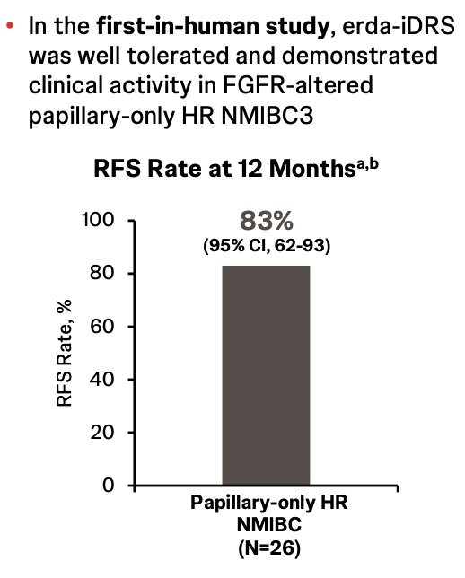 image-1.jpg