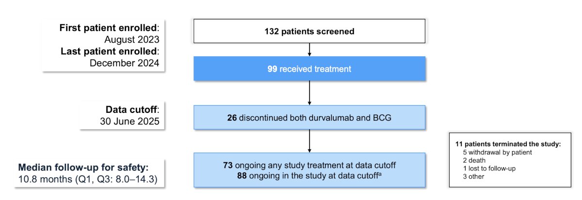In PATAPSCO, the first patient was enrolled in August 2023, and the last patient was enrolled in December 2024. Among 132 patients screened, 99 received treatment, 26 discontinued both durvalumab and BCG, with 88 patients ongoing in the study at the data cutoff of June 30, 2025:&nbsp;