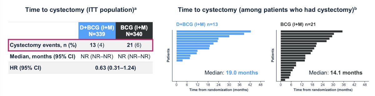 Thus, the addition of durvalumab to BCG (induction + maintenance) did not impact patients’ ability to receive adequate BCG therapy. Time to cystectomy showed a trend in favor of the durvalumab + BCG (induction + maintenance) arm versus the BCG (induction + maintenance) arm alone, with fewer patients undergoing cystectomy, and a longer median time to cystectomy, compared with the BCG (induction + maintenance) arm alone: