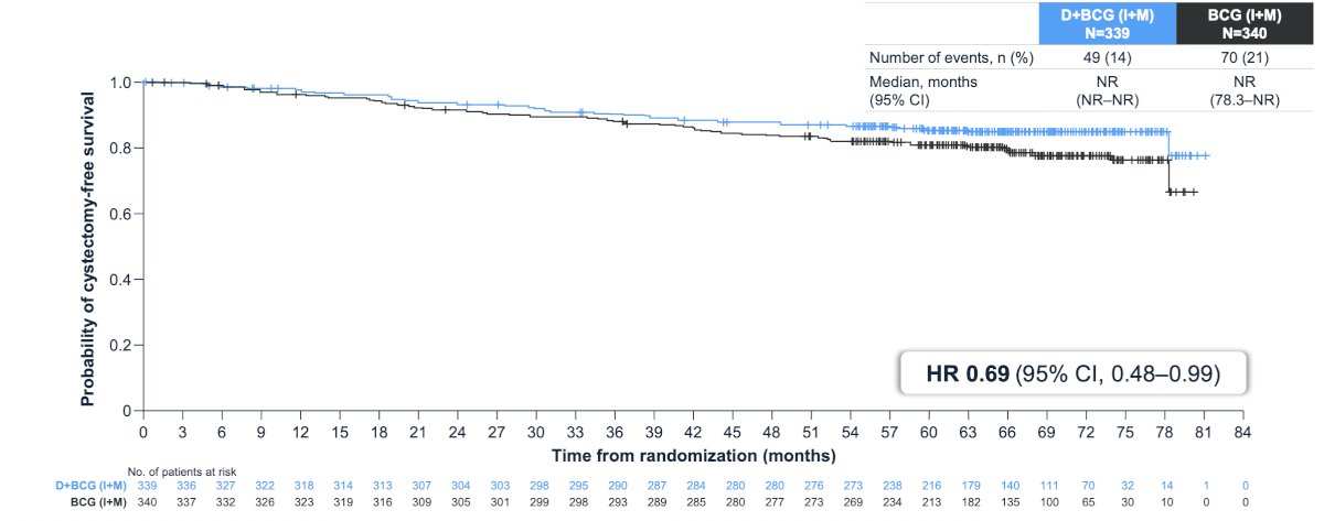 Cystectomy free survival showed a favorable trend for durvalumab + BCG (induction + maintenance) arm versus BCG (induction + maintenance) arm alone (HR 0.69, 95% CI 0.48-0.99):