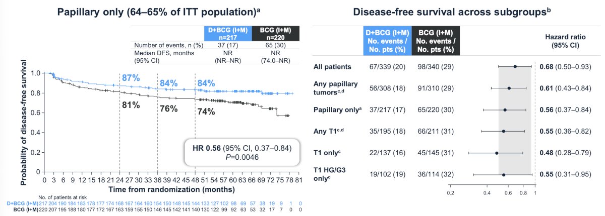 There was a 39% to 52% reduction in the risk of high-risk disease recurrence or death across papillary tumor subgroups with durvalumab + BCG (induction + maintenance) versus BCG (induction + maintenance):