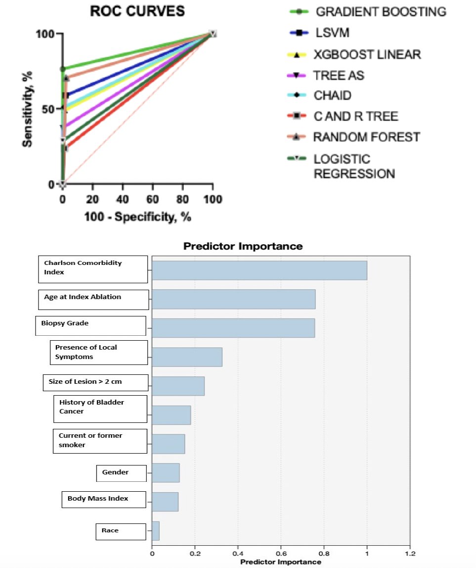 The poster also included a variable importance analysis, which identified the Charlson Comorbidity Index as the most influential predictor, followed by age at index ablation and biopsy grade. Other important contributors included the presence of local symptoms, lesion size >2 cm, prior bladder cancer history, smoking status, sex, body mass index, and race. These findings highlight that both tumor-related and patient-related factors contribute meaningfully to the risk of eventual progression to nephroureterectomy.