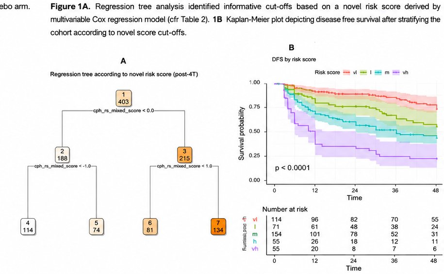 Using regression tree analysis, the investigators identified four prognostic subgroups with significantly different disease-free survival outcomes at 48 months (log-rank p<0.0001). The Kaplan–Meier curves showed clear and sustained separation between these groups, demonstrating the score’s ability to stratify patients into clinically meaningful risk categories.
