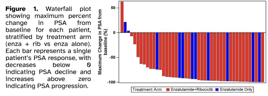 The primary endpoint was not met. The PSA50 response rate at 12 weeks was 75% (9/12 patients; 95% CI: 43–95) in the enzalutamide monotherapy arm and 82% (28/34 patients; 95% CI: 65–93) in the ribociclib plus enzalutamide arm, failing to reject the prespecified null hypothesis. Waterfall plot analyses demonstrated substantial PSA declines in both treatment groups, with the majority of patients experiencing some degree of PSA reduction from baseline.