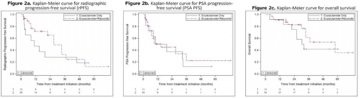 The median OS was 31.2 months (95% CI: 15.0–not available) among patients receiving enzalutamide alone compared with 58.1 months (95% CI: 33.4–not available) among patients treated with ribociclib plus enzalutamide. The Kaplan-Meier OS curves demonstrated durable long-term survival in a subset of patients receiving combination therapy.