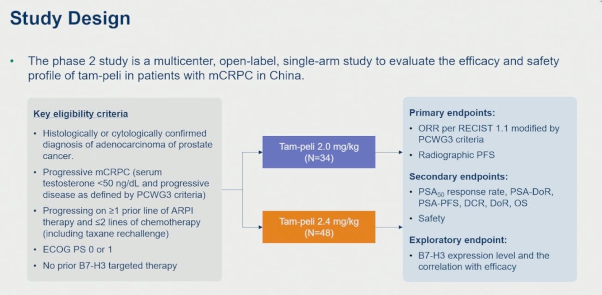 Patients received tam-peli at either 2.0 mg/kg (n=34) or 2.4 mg/kg (n=48). The co-primary endpoints were objective response rate per RECIST 1.1 modified by PCWG3 criteria and radiographic progression-free survival. Secondary endpoints included PSA50 response rate, PSA duration of response, PSA-PFS, disease control rate, duration of response, overall survival, and safety. Exploratory analyses evaluated B7-H3 expression levels and their correlation with efficacy outcomes. The study design is shown below: