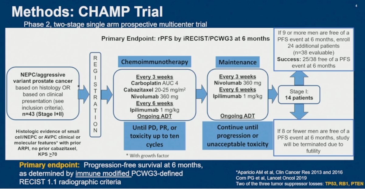 Patients received carboplatin, cabazitaxel, nivolumab, and ipilimumab alongside ongoing ADT for up to 10 cycles, followed by maintenance nivolumab plus ipilimumab until progression or unacceptable toxicity. The primary endpoint was 6-month radiographic PFS by immune-modified RECIST 1.1/PCWG3 criteria. Overall, 43 patients were enrolled across stages I and II of the study.
