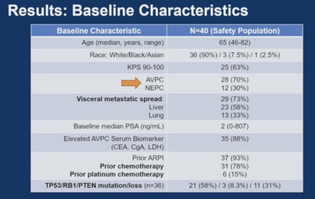 The study population was enriched for AVPC and NEPC features, with 70% classified as AVPC and 30% as NEPC. Visceral metastatic involvement was common, including liver metastases in 58% and lung metastases in 33% of patients. Median baseline PSA was notably low at 2 ng/mL, consistent with the androgen-indifferent biology typically observed in AVPC/NEPC, while 88% had elevated AVPC-associated serum biomarkers, including CEA, chromogranin A, or LDH. Patients were heavily pretreated, with 93% previously exposed to ARPIs, 78% having received prior chemotherapy, and 15% prior platinum-based chemotherapy. Molecular profiling demonstrated frequent TP53, RB1, and PTEN alterations, including overlapping alterations across these lineage-plasticity drivers. Notably, only one patient had MSI-high disease, and the median tumor mutational burden was low at 3 mutations/Mb.