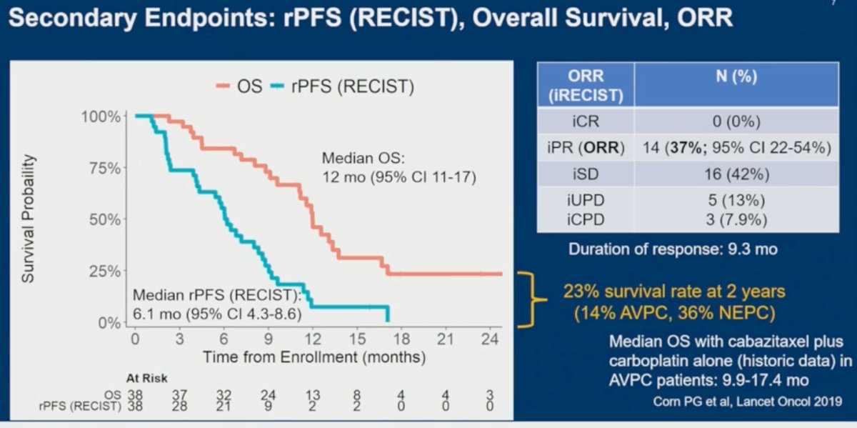 Secondary endpoint analyses showed a median RECIST-based rPFS of 6.1 months, while median OS reached 12 months, which falls within the historical range reported with cabazitaxel plus carboplatin alone in AVPC (9.9–17.4 months). Importantly, despite RECIST progression in many patients, there was a tail on the OS curve, with 23% of patients alive at 2 years, including 14% with AVPC and 36% with NEPC. The ORR by iRECIST was 37% (95% CI 22–54%), with a median duration of response of 9.3 months.