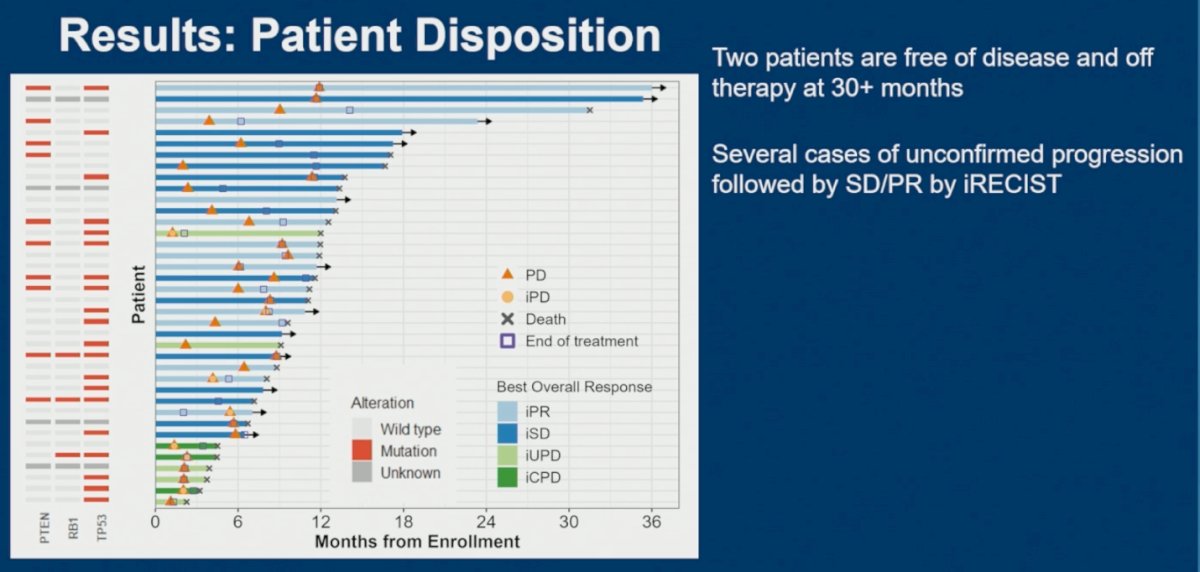 Swimmer plot analyses demonstrated durable benefit in a subset of patients, with two patients remaining disease-free and off therapy beyond 30 months. Several patients also experienced initial unconfirmed progression followed by stable disease or partial response by iRECIST, supporting the potential for delayed immunotherapy responses in this population. Interestingly, RB1 loss appeared to be associated with shorter swim lanes and less durable clinical benefit, suggesting a potential relationship between lineage-plasticity alterations and resistance to therapy.