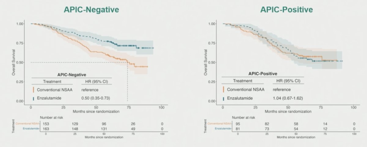 Among 492 evaluable participants, 316 (64%) were APIC-negative and 176 (36%) APIC-positive. APIC-negative was associated with improved overall survival with enzalutamide versus non-steroidal antiandrogen (HR 0.50, 95% CI 0.35-0.73), while APIC-positive showed no benefit to the addition of enzalutamide (HR 1.04, 95% CI 0.67-1.62):&nbsp;