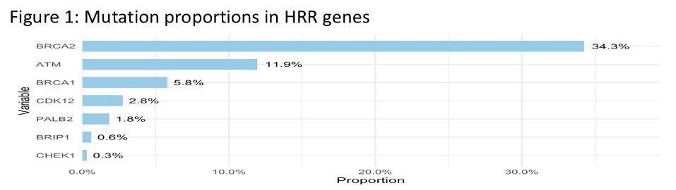 The study cohort had a median age ranging from 65 to 71 years across participating institutions. Metastatic disease most commonly involved the bone and lymph nodes, with a smaller proportion of patients harboring visceral metastases. HRR alterations were identified in 43.4% of patients, while BRCA alterations were present in 48.7% of the overall cohort. Among HRR genes, BRCA2 represented the most frequently altered gene (34.3%), followed by ATM (11.9%), BRCA1 (6.4%), CDK12 (3.8%), PALB2 (1.7%), RAD51B (0.8%), and CHEK2 (0.3%).