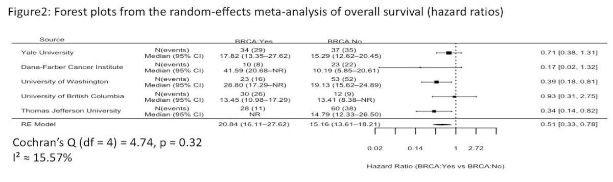 The investigators first evaluated OS according to BRCA status. Across participating institutions, patients harboring BRCA alterations experienced significantly improved survival following PARPi therapy compared to those without BRCA alterations. Meta-analysis demonstrated a pooled hazard ratio (HR) for death of 0.51 (95% CI: 0.33–0.78), with low between-study heterogeneity (I²=15.6%). Kaplan-Meier analyses similarly demonstrated prolonged survival among patients with BRCA alterations.